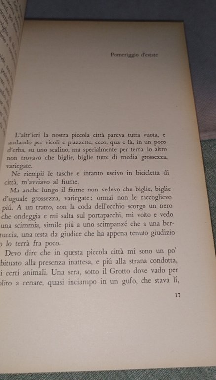 un giorno della vita giorgio orelli | Immagine Gallery 8