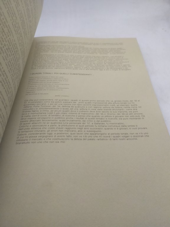 un pittore così silvano macchi