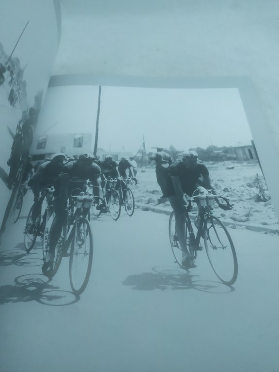 una vita da gregario alessandro petacchi