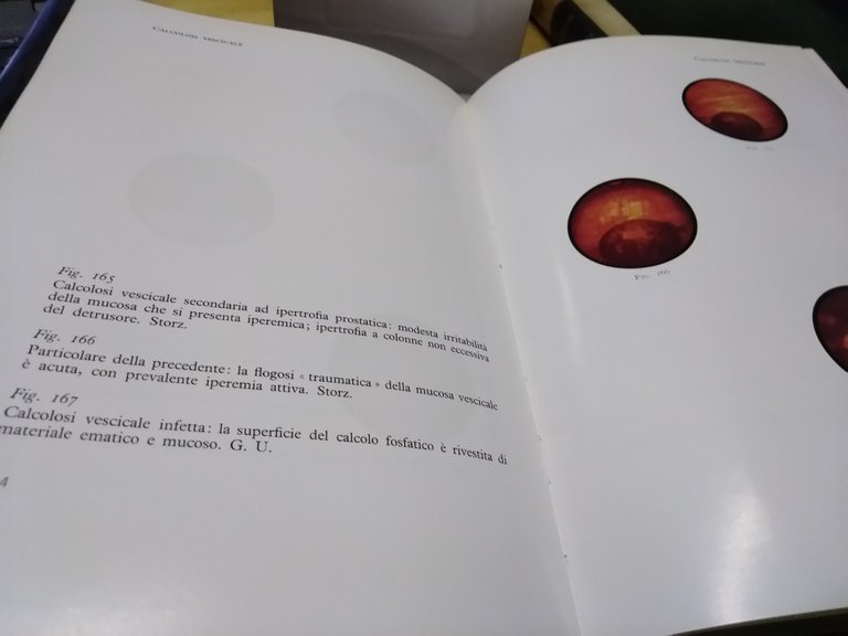 urologia endoscopica atlante fotografico universo roma