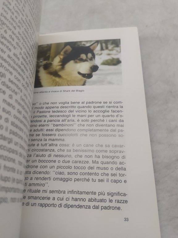 valeria rossi l'alaskan malamute de vecchi editore