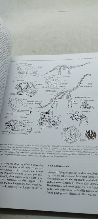 vertebrate palaeontology wiley blackwell