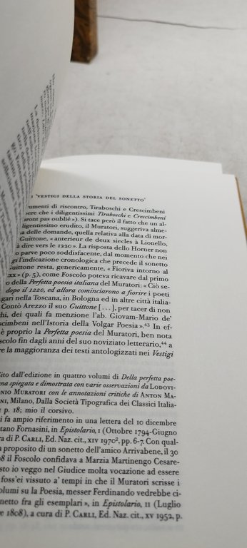 vestigi della storia del sonetto dall'anno mcc al mdccc