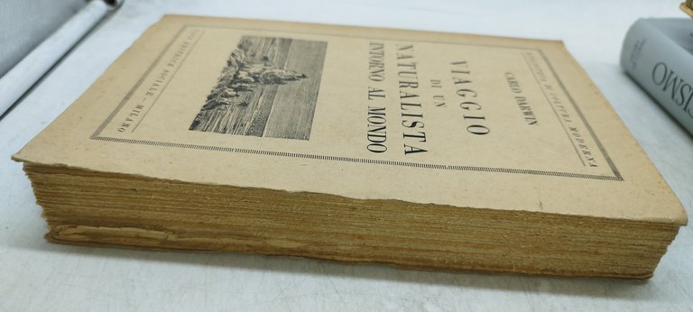 viaggio di un naturalista intorno al mondo