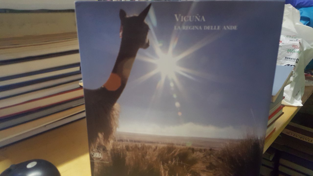 vicuna la regina delle ande skira