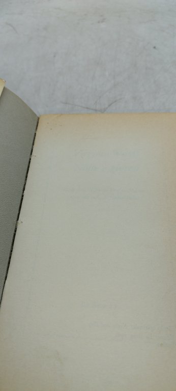 virginia woolf notte e giorno la rosa