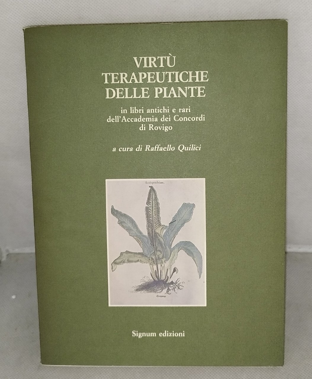 virtù terapeutiche delle piante in libri antichi e rari raffaello … | Immagine principale