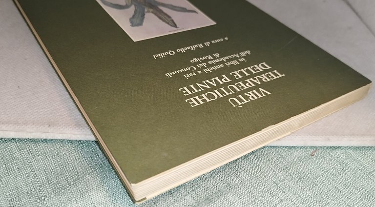 virtù terapeutiche delle piante in libri antichi e rari raffaello … | Immagine Gallery 6