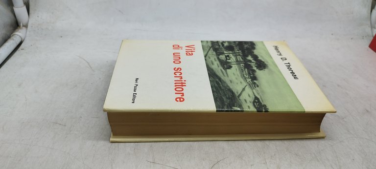 vita di uno scrittore neri pozza editore