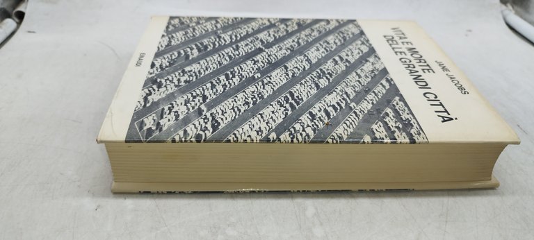 vita e morte delle grandi città einaudi