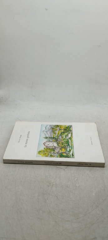 vito a sirago la nuora perfetta