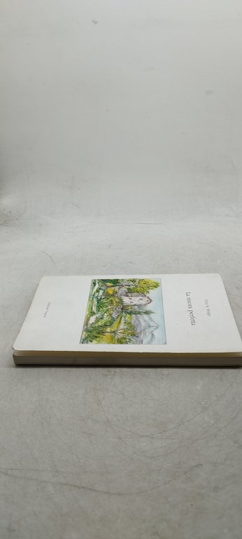 vito a sirago la nuora perfetta