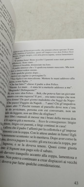 vito a sirago la nuora perfetta