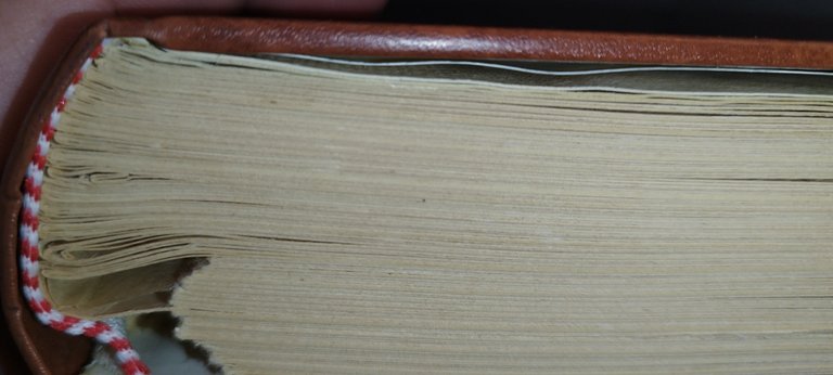 vittorio pica giuseppe de nittis l'uomo e l'artista | Immagine Gallery 6