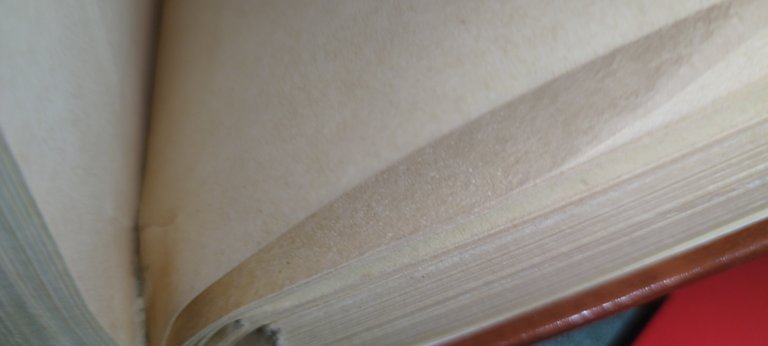 vittorio pica giuseppe de nittis l'uomo e l'artista | Immagine Gallery 7