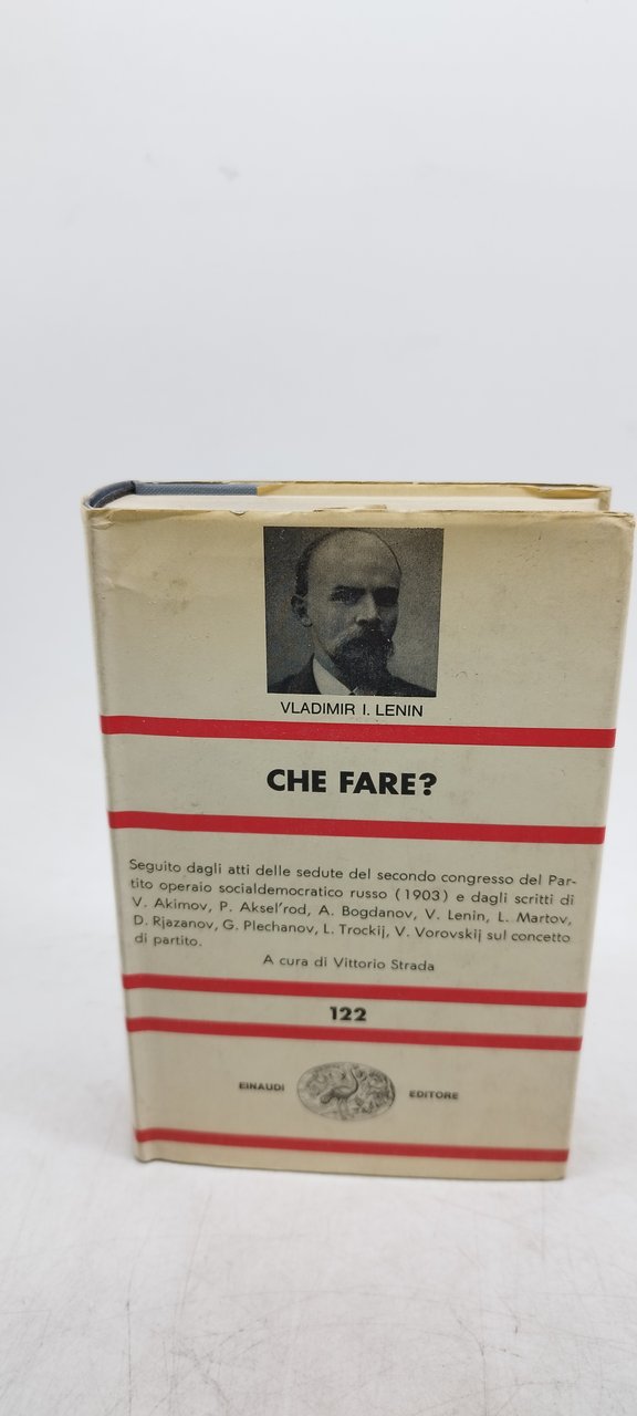 vladimir i lenin che fare?