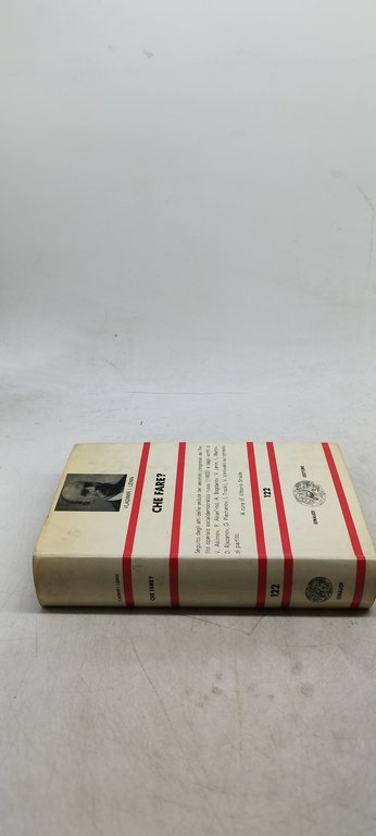 vladimir i lenin che fare?