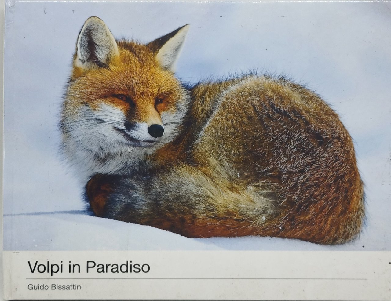 volpi in paradiso guido bissattini