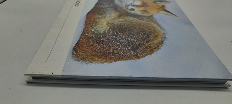 volpi in paradiso guido bissattini