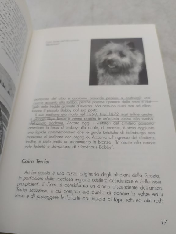 w.steen il tuo terrier turrini editore
