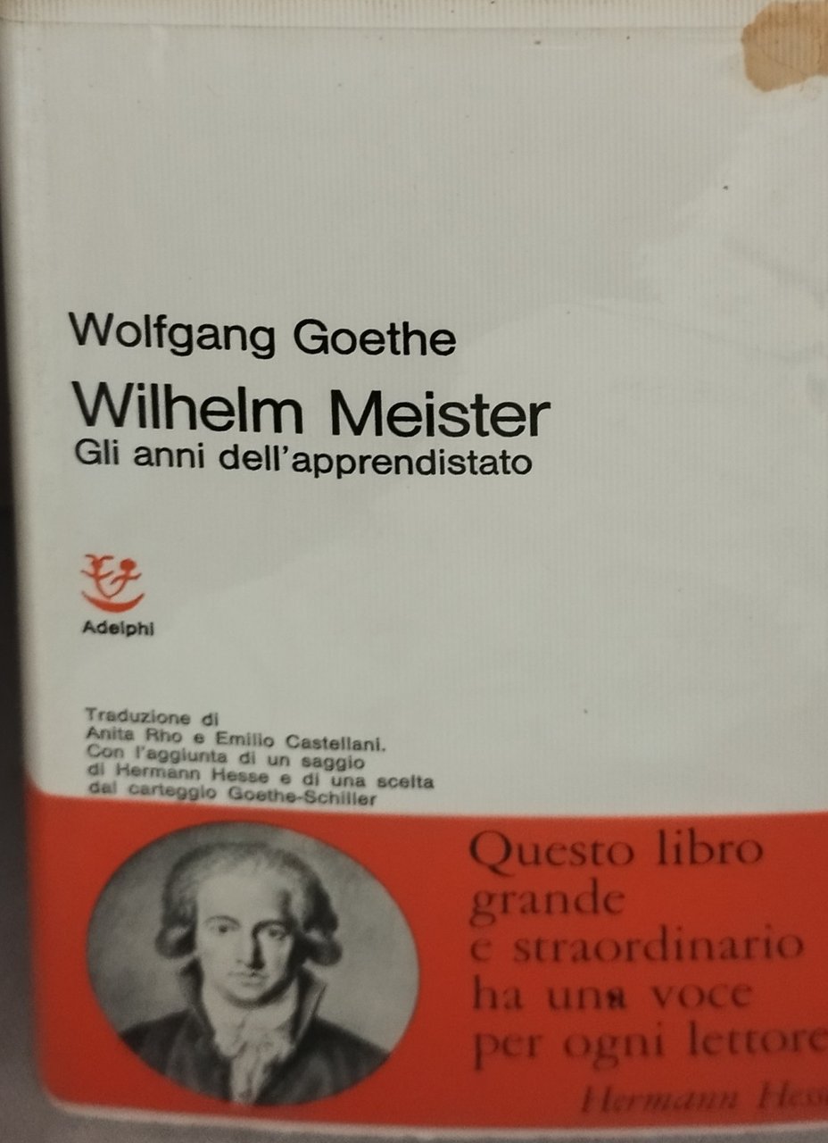 wolfgang goethe wilhelm meister gli anni dell'apprendistato | Immagine principale