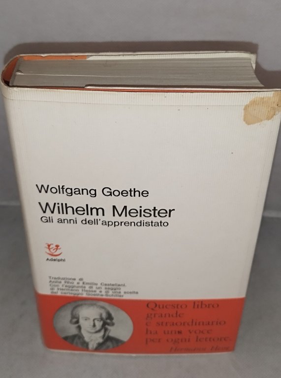 wolfgang goethe wilhelm meister gli anni dell'apprendistato | Immagine Gallery 2