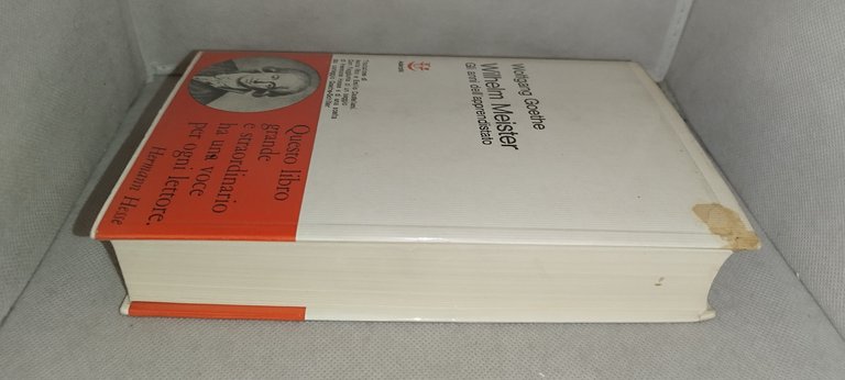 wolfgang goethe wilhelm meister gli anni dell'apprendistato | Immagine Gallery 5