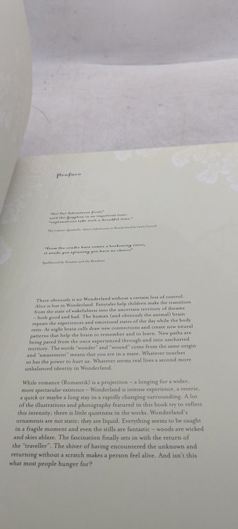 wonderland "illustrato"