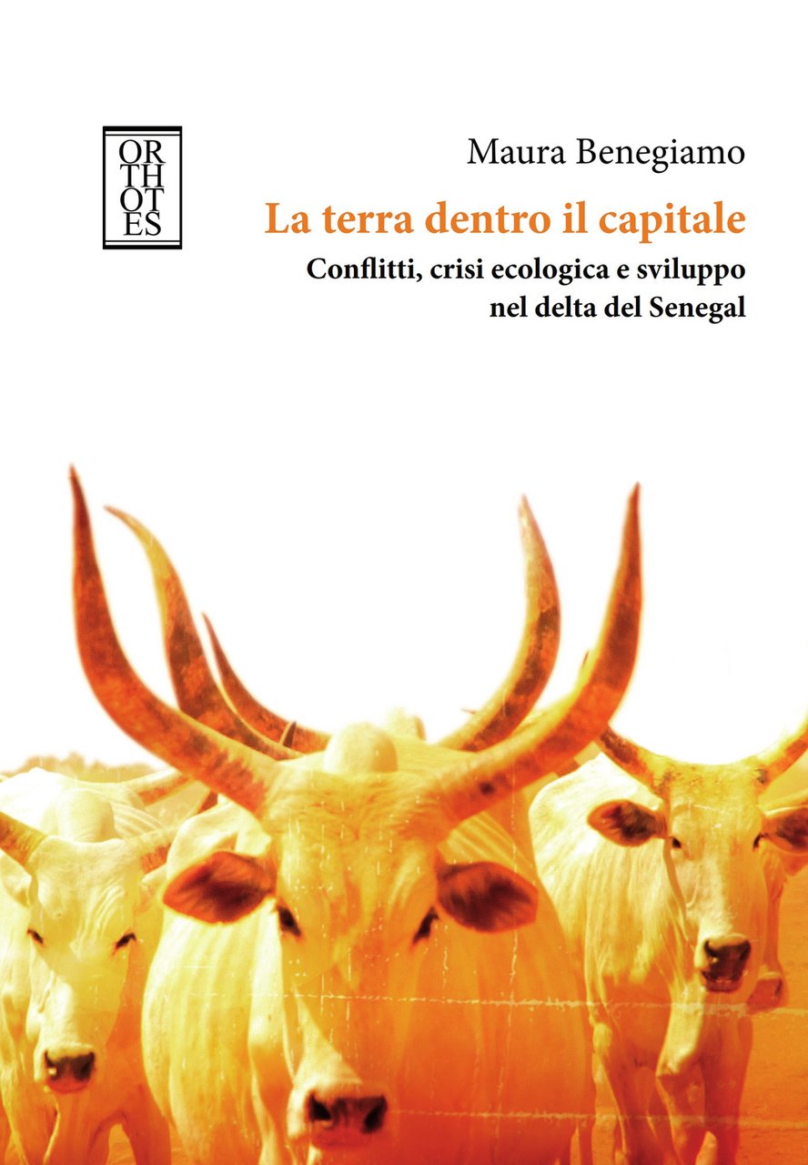 La terra dentro il capitale. Conflitti, crisi ecologica e sviluppo …