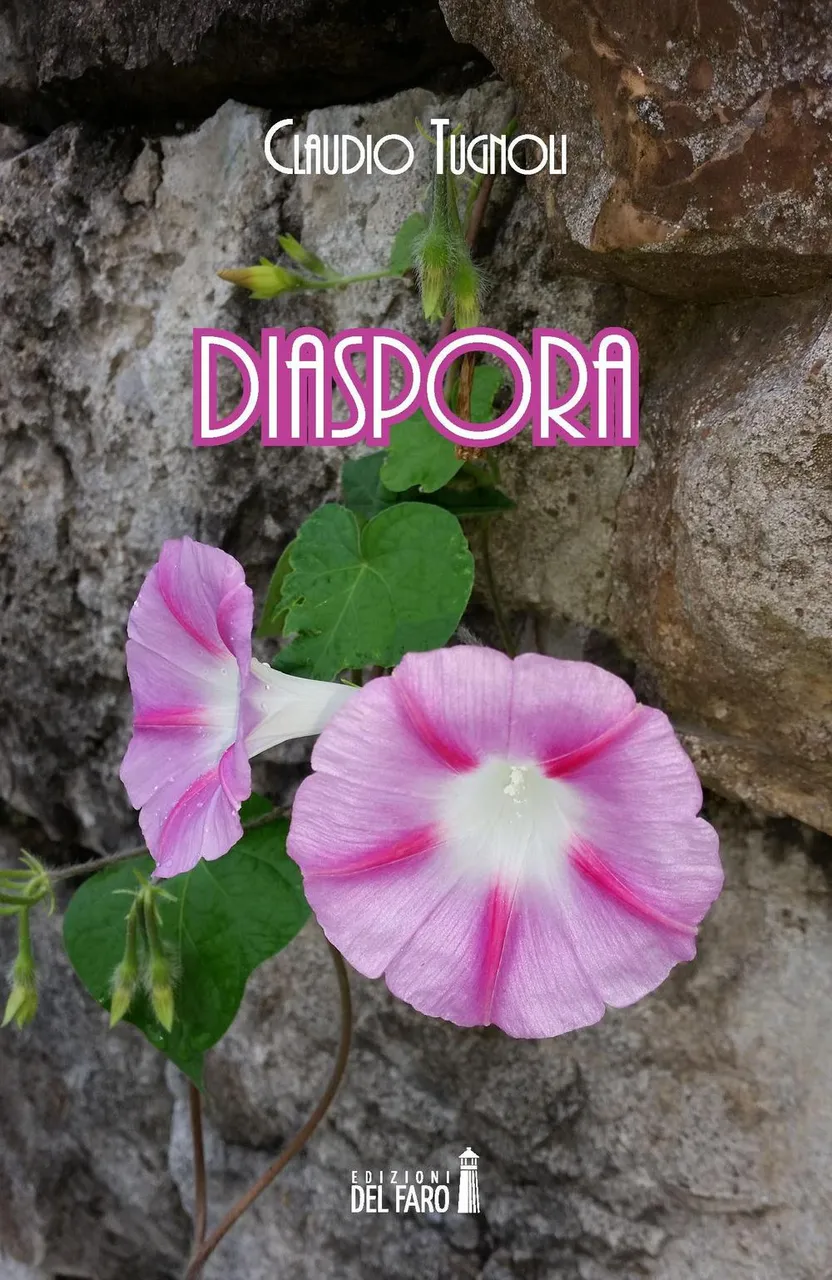Diaspora | Immagine principale