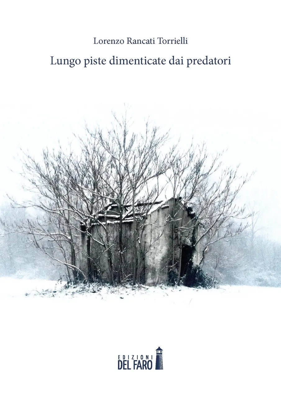 Lungo piste dimenticate dai predatori | Immagine principale