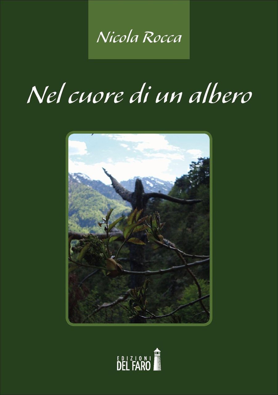 Nel cuore di un albero