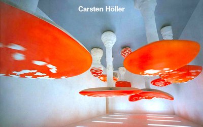 Carsten Höller. Registro