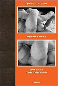 Sarah Lucas: Describe This Distance | Immagine principale