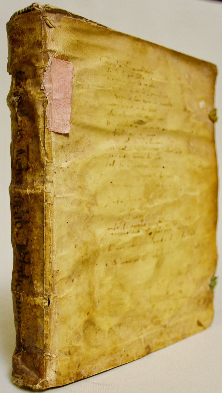 Commentaria una cum quaestionibus. In octo libros Aristotelis de physica …