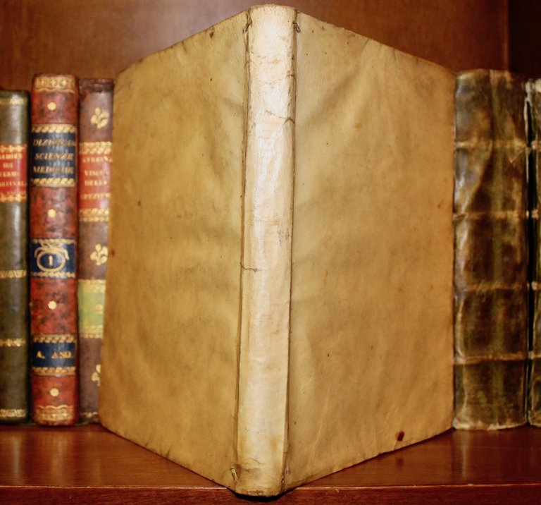 De plantis Aegypti liber in quo non pauvi, qui circa …