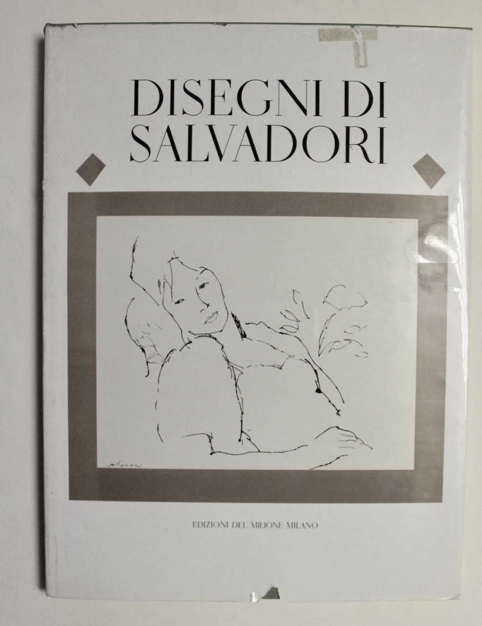 Disegni di Salvadori