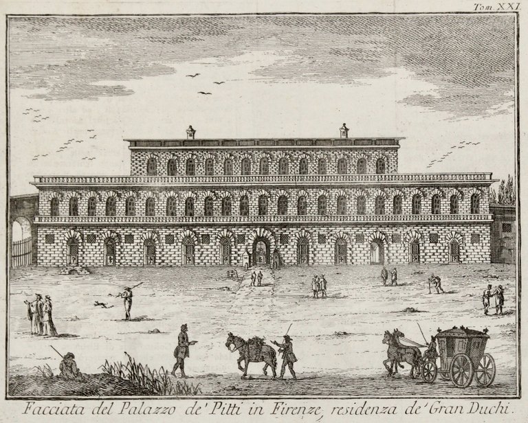 Facciata del Palazzo de' Pitti in Firenze, residenza de' Gran … | Immagine Gallery 2