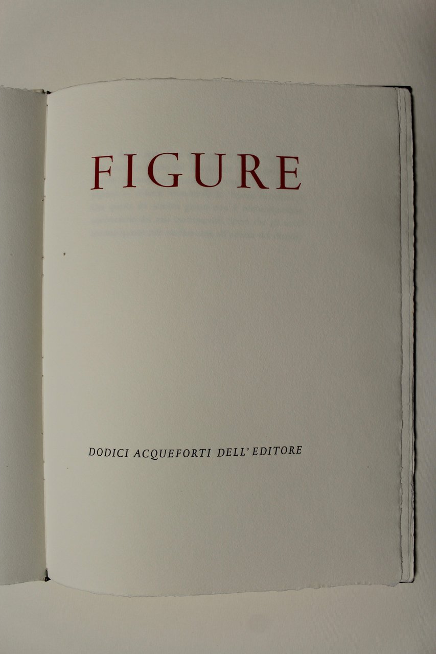 Figure Dodici acqueforti dell'editore