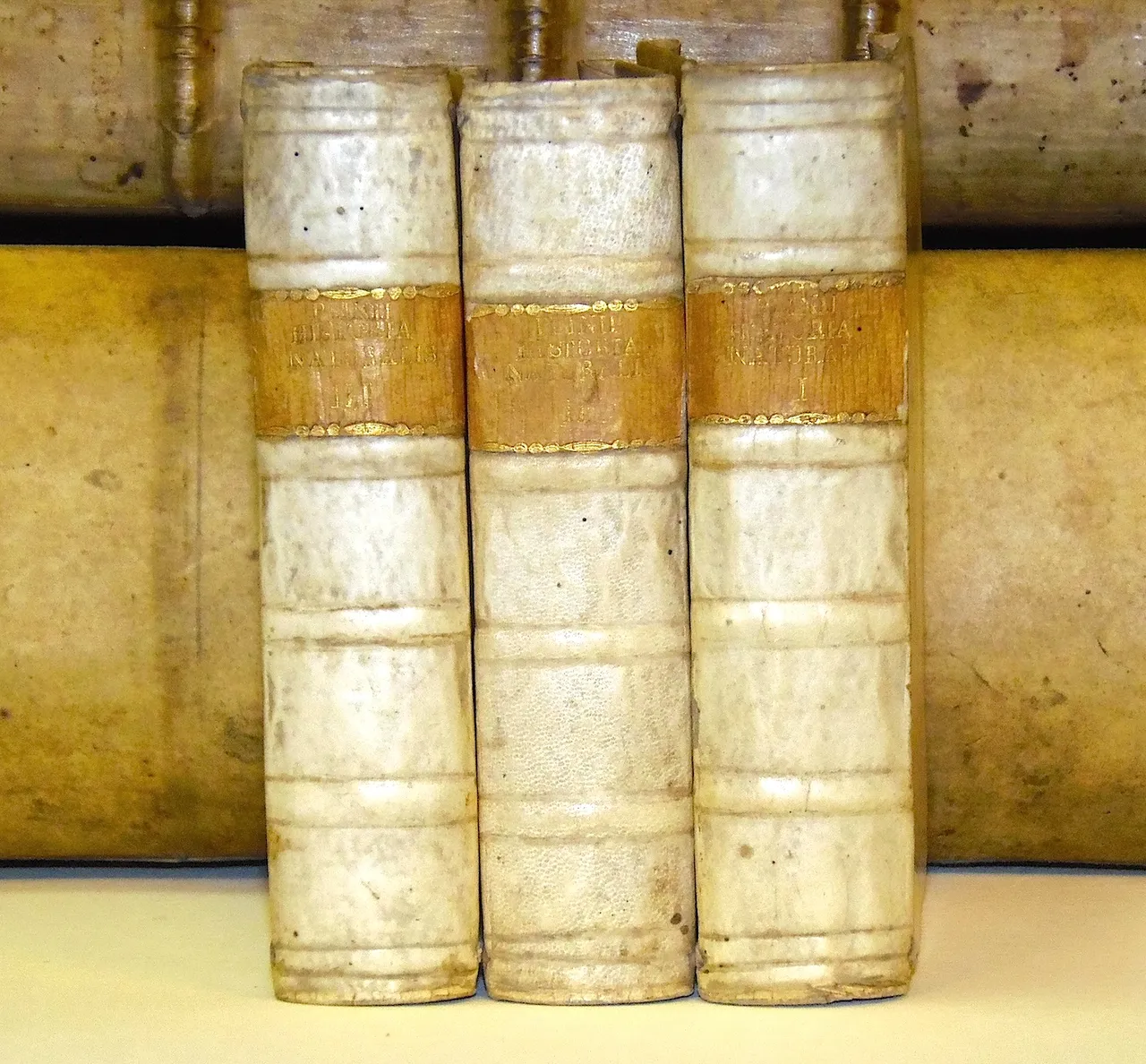 Historia naturalis libri XXXVII | Immagine principale