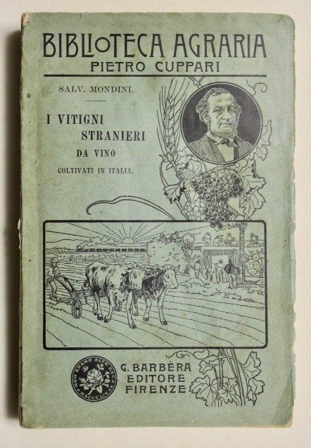 I vitigni stranieri da vino coltivati in Italia | Immagine principale