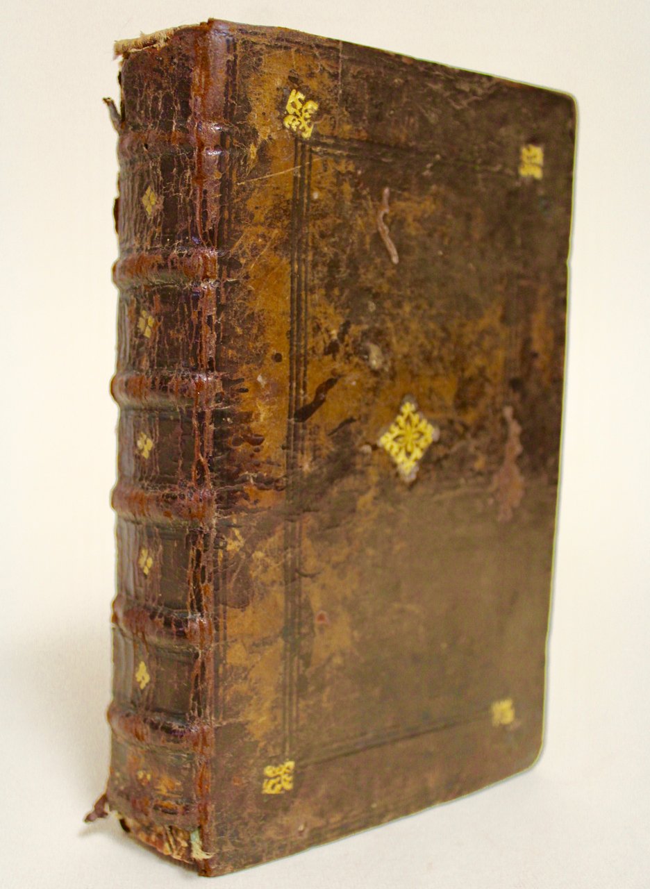 In omnes D. Pauli epistolas commentarij, perbreves ac docti, ante …