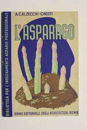L' Asparago - storia - coltura - confezione - cause … | Immagine principale