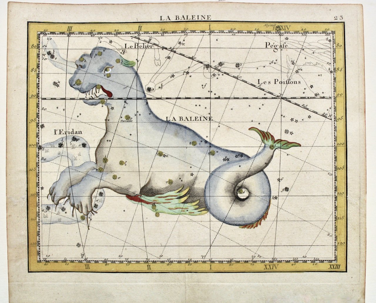 La Baleine