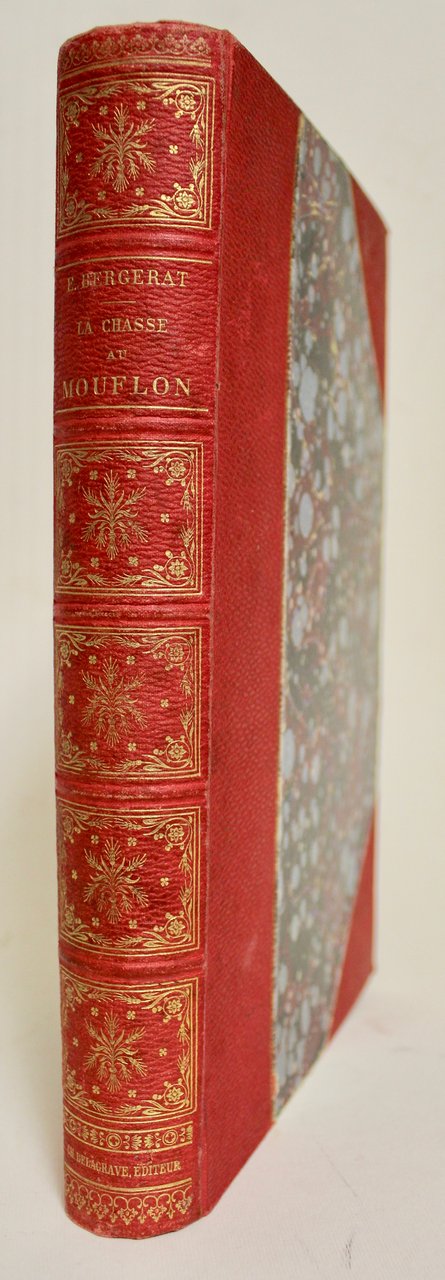 La chasse au mouflon ou petit voyage philosophique en Corse …