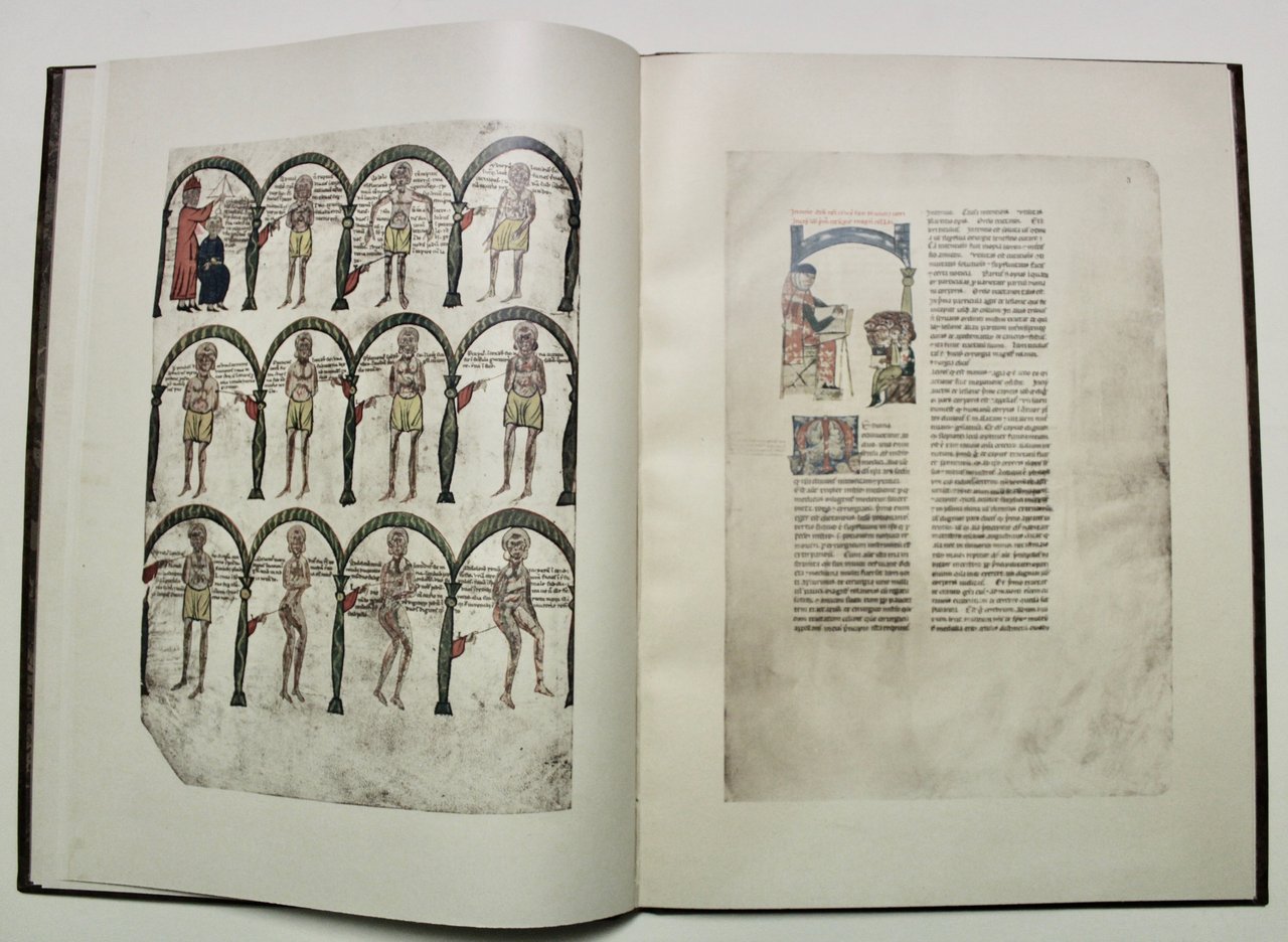 La chirurgia di M. Rolando da Parma detto dei Cappezzuti. …