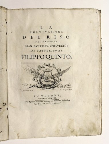 La coltivazione del riso… al cattolico Re Filippo quinto | Immagine principale