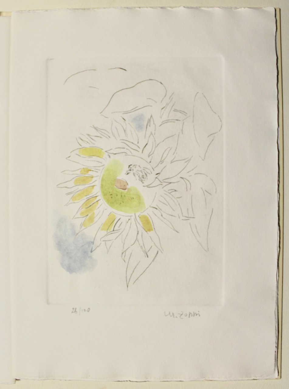 La mosca sulla rosa.