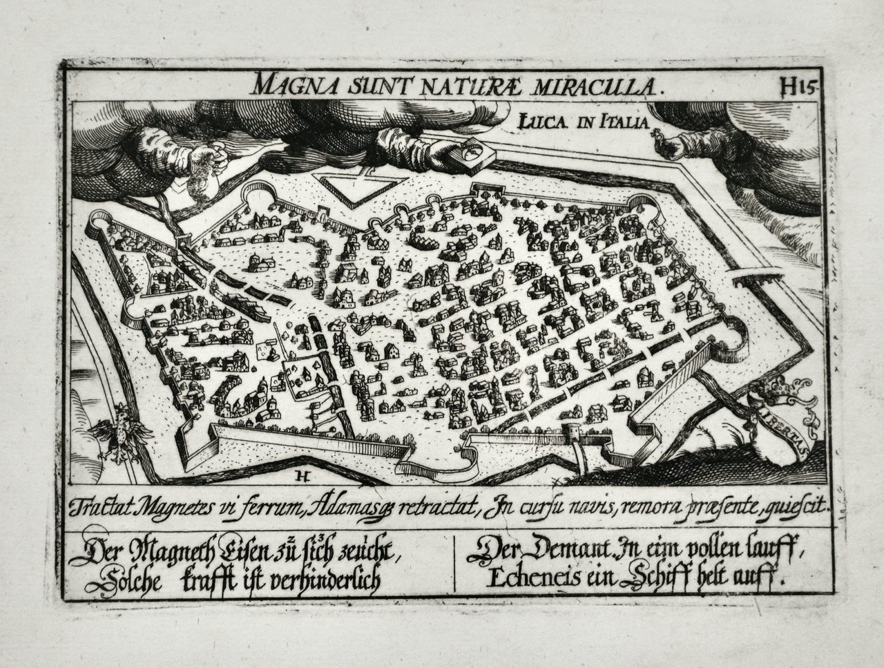 Luca in Italia | Immagine principale