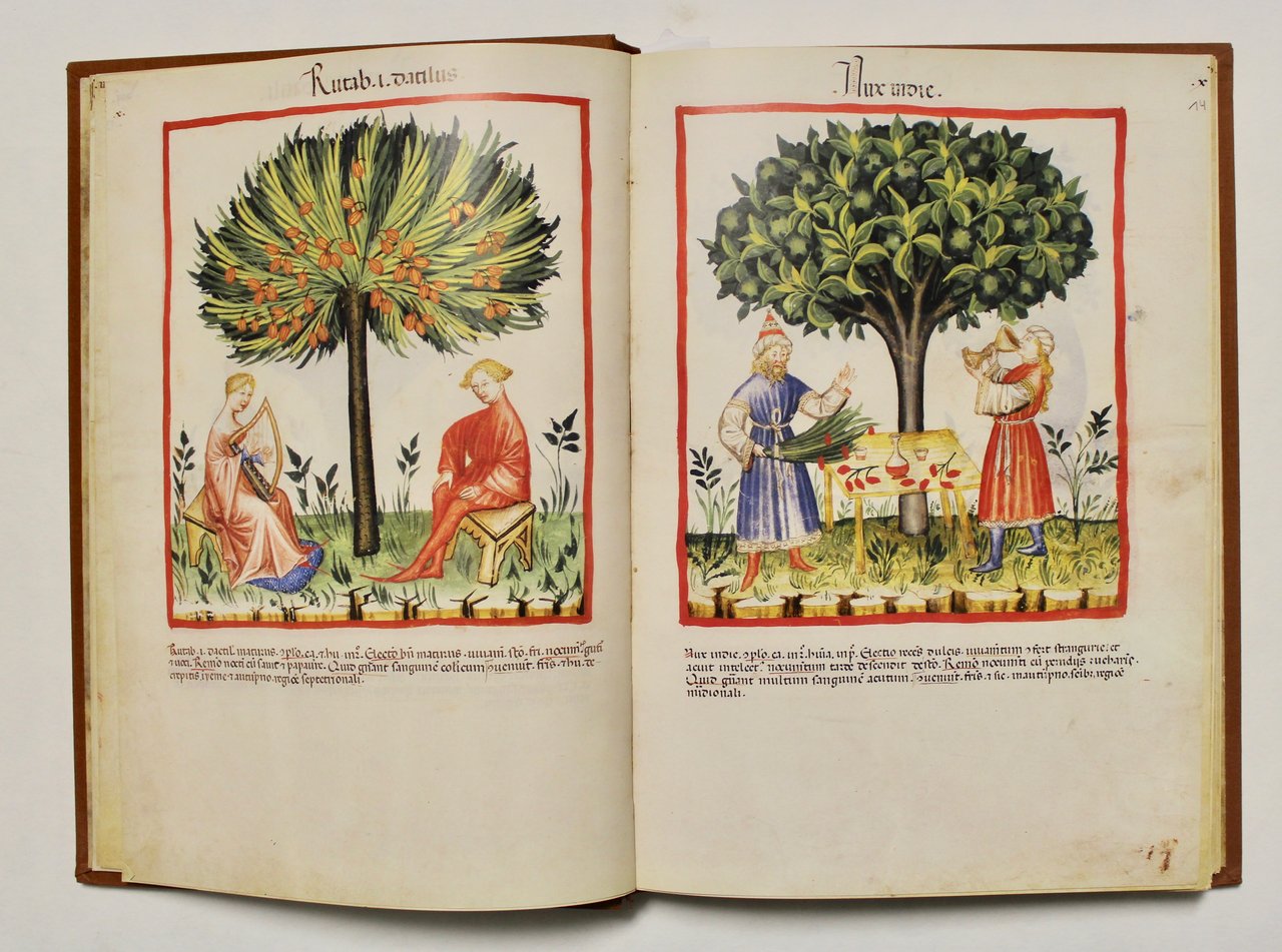 Tacuinum Sanitatis In Medicina. Codex Vindobonensis Series Nova 2644 Della …